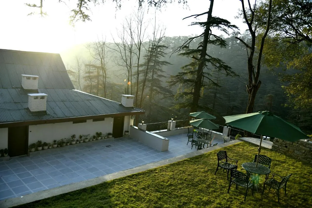 Bed & Breakfast The Pine Cottage Estate Shimla India